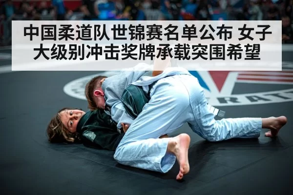 judo competition action